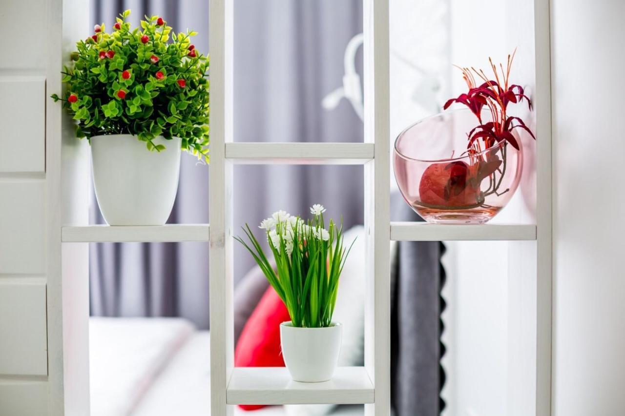 Royal Apartment On Grekova 8 Lviv Kültér fotó